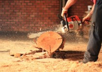 Curso de Formação de Operador de Motosserra