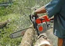 Curso de Operador de Moto Serra